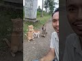 OYEN JOGET VIRAL