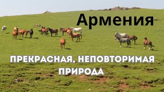 Прекрасная неповторимая природа Армения,(Ачаджур, Тавуш)