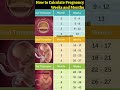 How To Calculate Pregnancy By Weeks Months And Trimester Shorts Pregnancy Cutebaby