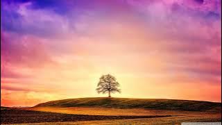 DSF  - BEST OF (2022)