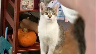 ヒミツ　バレる。