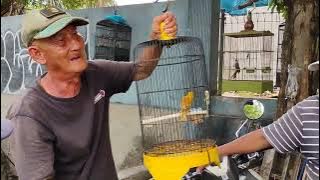 Review of Kupang Bird Market, Surabaya. It's still quiet at 10 a.m.