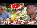 Мукбанг 🤤 турецкая еда 🍲 🇹🇷