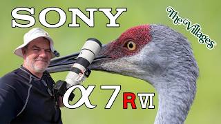 Sony A7RVI Bird Photography at The Villages 200-600mm Zoom Lens!