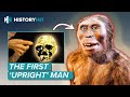 Homo erectus | Why Did the Most Successful Early Human Go Extinct? Mp3 Song