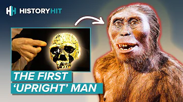 Was entwickelte sich aus dem Homo erectus?