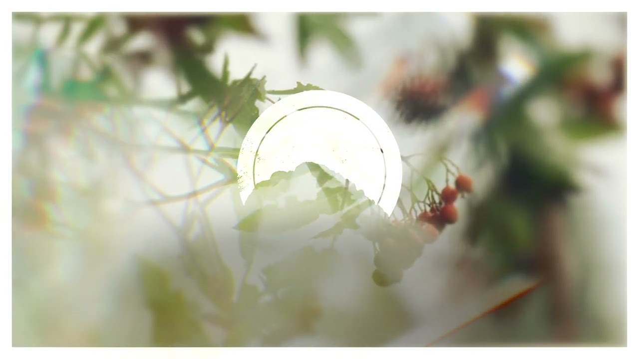 YouTube에서 NevBorn · NEMEA 보기 YouTube에서 NevBorn · NEMEA 보기
