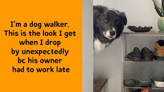 50 Hilarious Dog Pics Every Dog Lover Needs To See