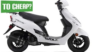 Should You Buy A Chinese Scooter Versus A Top Name Brand Scooter? #gy6 #gy6nation #ifixshet