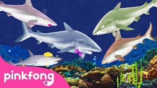 Акулёнок🦈 | Семья Акул | Пинкфонг Песни для Детей