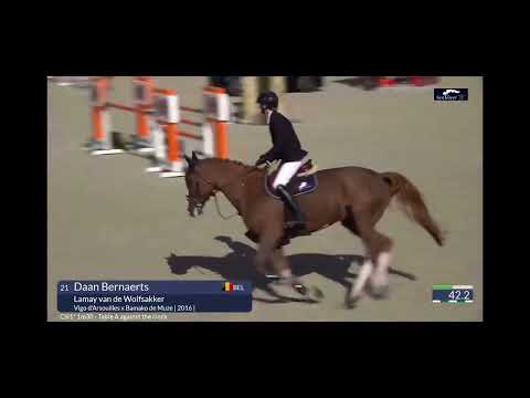 Lamay van de Wolfsakker CSI1* Opglabbeek