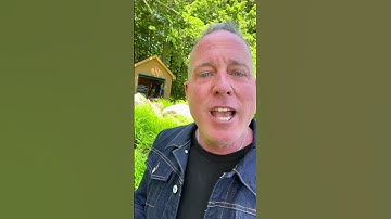 Creating a Shared Vision: Aligning Goals and Dreams in Your Relationship