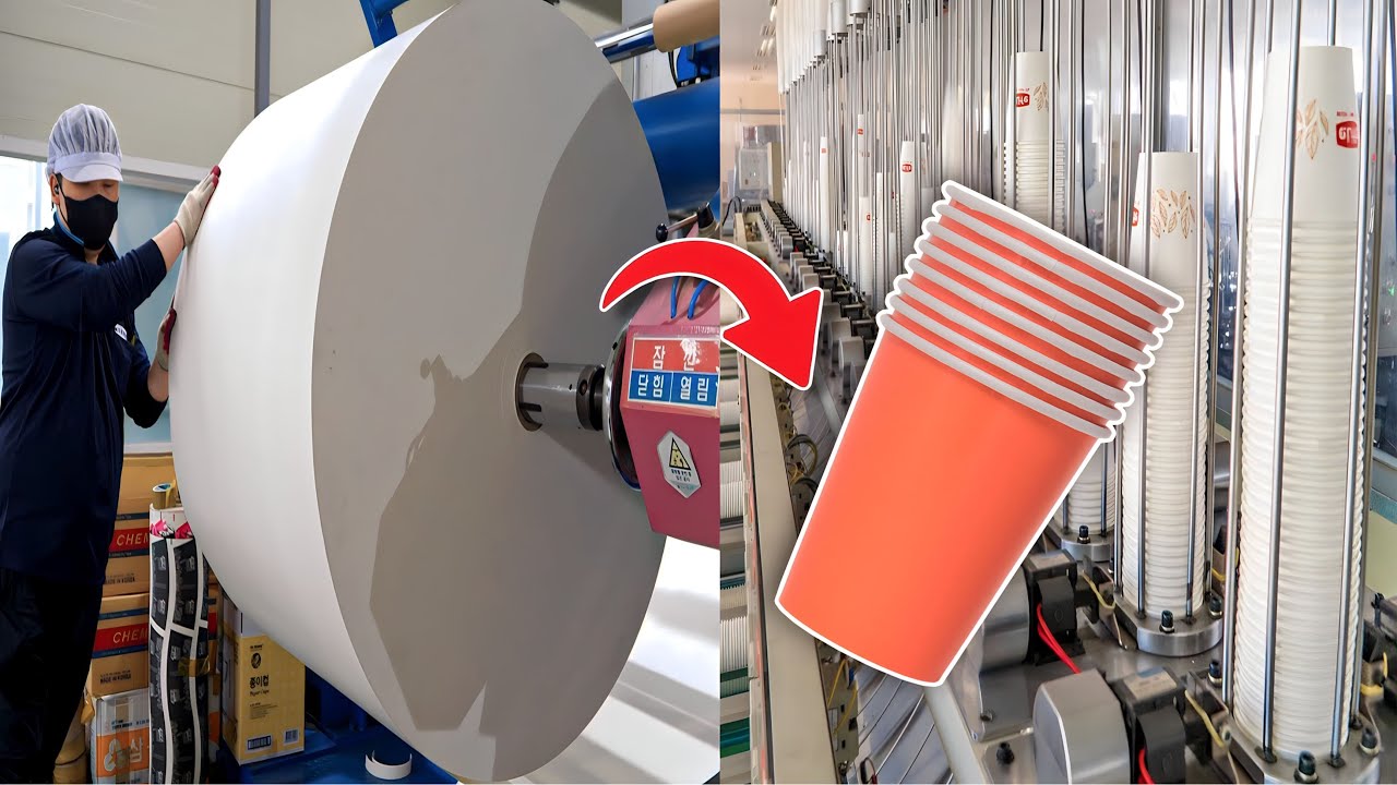 देखिए फ़ैक्ट्री मैं कैसे बनता है Papaer Cup | How Paper Cup Are Made In ...