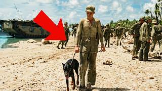 Perché i cecchini giapponesi avevano l'ordine di non sparare MAI all'uomo con il cane
