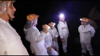 Cova do Rei Cintolo en Mondoñedo