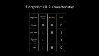 Cladogram