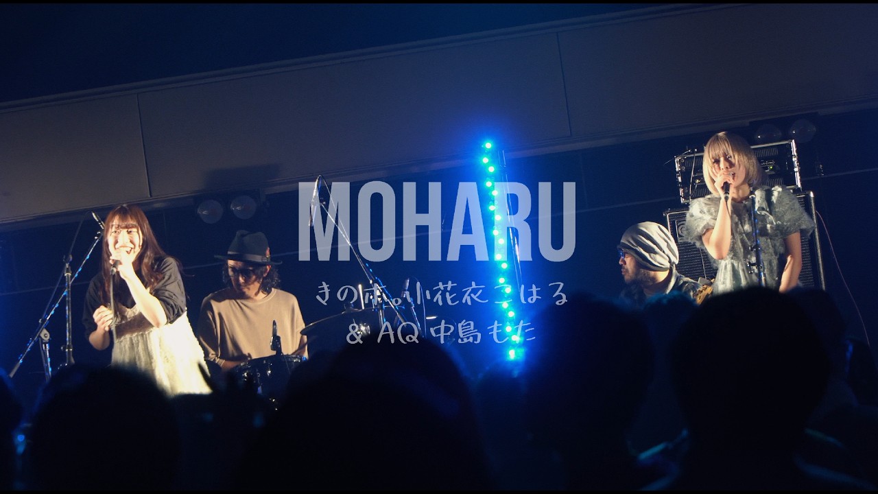 MOHARU（きのホ。小花衣こはる ＆AQ 中島もた）エイリアンズ（キリンジcover）2026.2.22 ホ。フェスat京都KBSホール