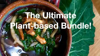 The ultimate plant-based bundle includes my Living Foods 101 course