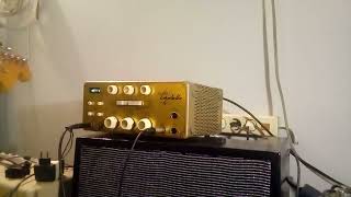 Echolette klemt guitar