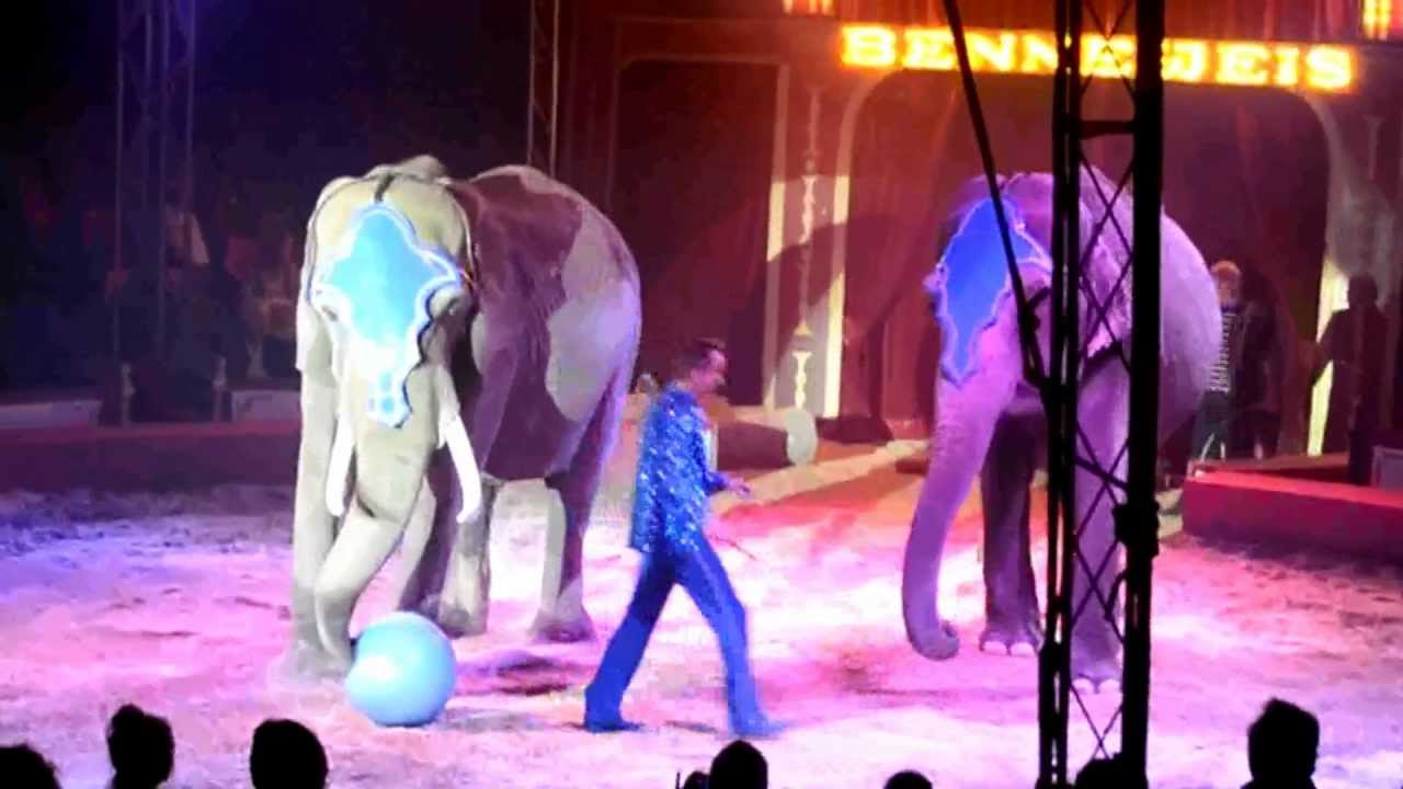 CIRKUS BENNEWEIS - FLUGTELEFANTERNE SONJA OG VANA MANA TILBAGE