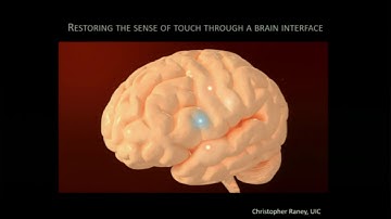 Neural Prosthesis Seminar - Sliman Bensmaia