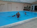 Inglaterra celebra bicampeonato europeu na piscina do Montado Hottel & Golf Resort