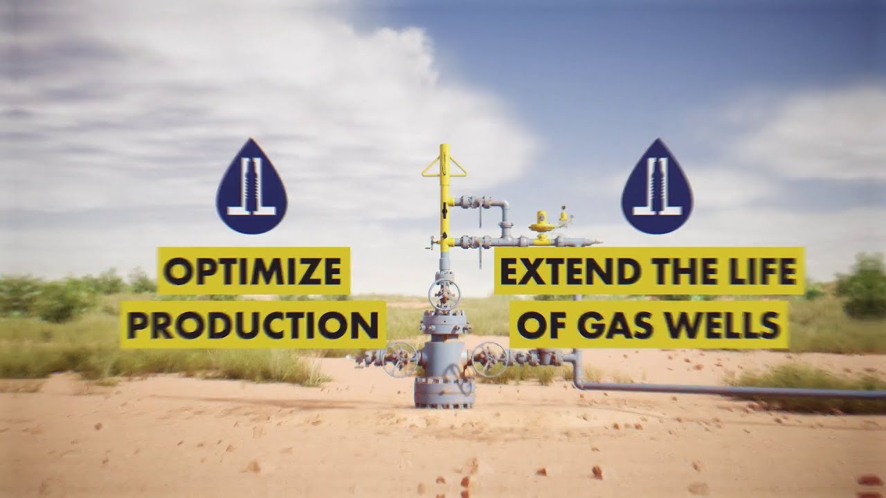 Liberty Lift - Plunger Lift