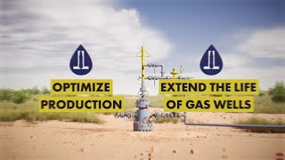 Liberty Lift - Plunger Lift