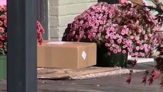 Preventing package thefts