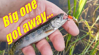 Creek Fishing Solo Camping Adventure