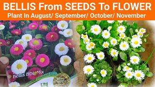 Project 09 25 Hd 720P Medium Fr30 1