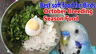 Is Your Bird Food Ready for Winter? Try This EASY Soft Mix screenshot 5