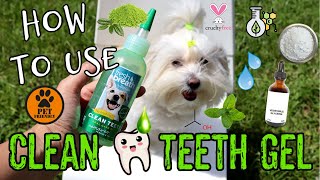 How to use DENTAL GEL FOR DOGS, You don't need brushing teeth I Lorentix