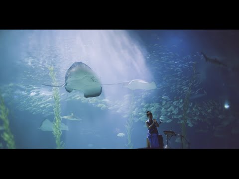 在 YouTube 上观看 On Water_박지하 Park Jiha