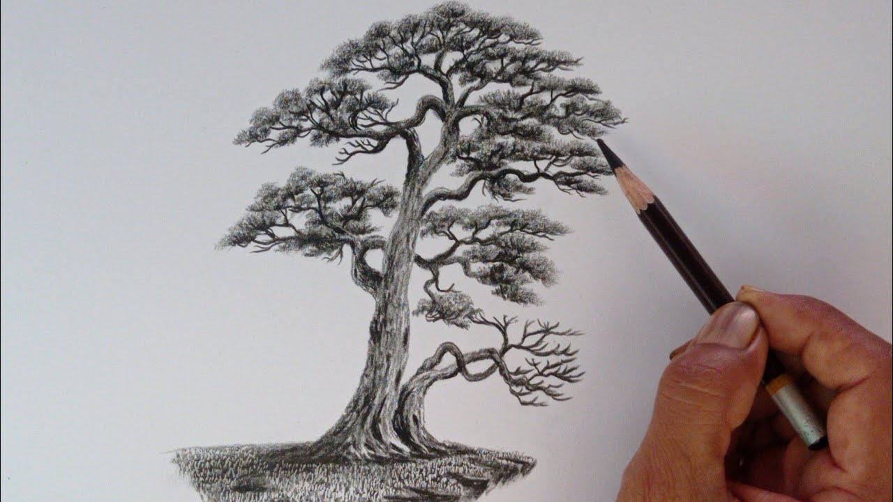 Chinese tree drawing by pencil with the easy ways// Pencil sketch ...