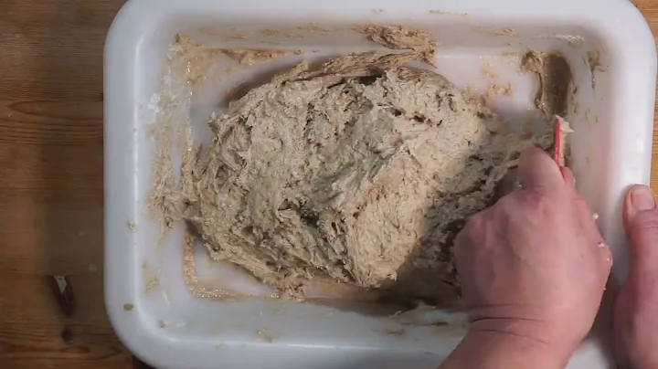 No Knead Paderborner Kultbrot