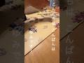 末期癌|娘とはじめのパズル🧩　できないことより守りたい時間👧👩ママはまだ頑張れる！ #がん #余命宣告 #末期癌 #子育て #パズル #ディズニー #抗がん剤 #フリュザクラ