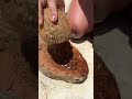 Как заварить кофе в кокосе #coffee #кофе #кокос #природа #костёр