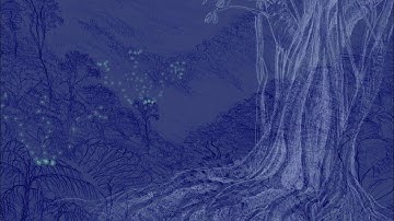 New Media Gallery Artist Talk: Rachel Lodge