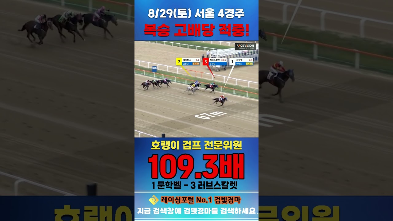 [서울 경마] 8월 29일 토요 4경주 호랭이 검프 전문위원 복승 고배당 적중 #경마 #automobile #한국마사회 #horse #하이라이트 #korean #비트코인 #게임