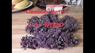 How To Calculate Cannabis Dosage After Infusing Edibles