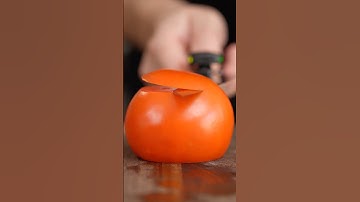 WORLDS SHARPEST CHEF KNIFE?!?!