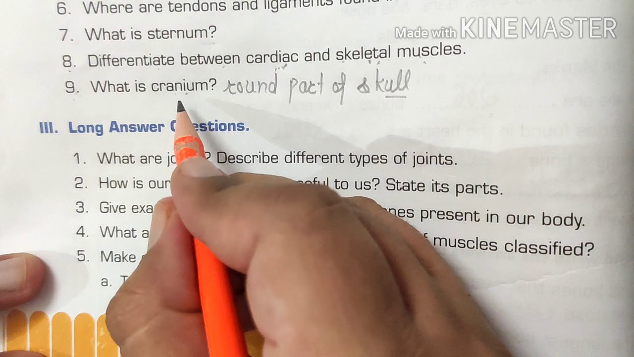 Grade 5/ Science /The Skeletal and Muscular Systems /July 17 - YouTube