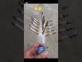 que le parece éste experimento 🧪
