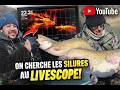 On cherche les silures au livescope