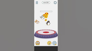 BrainUp Level 255 Walkthrough Solution