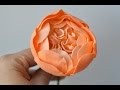 Part 1 Creating the David Austin Cabbage Rose Center in Gum Paste Sugar