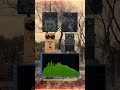 BOSS DS-1, SMIRMOOR SAULE, SMIRMOOR SMARVE, MXR DISTORION+