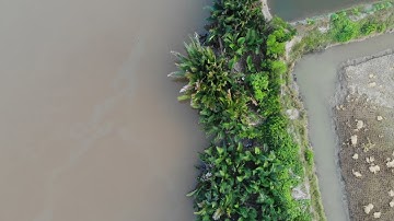 Phước Lại, Cần Giuộc