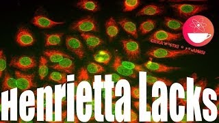 Henrietta Lacks - nieśmiertelna kobieta (?)